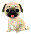 バウリンガル