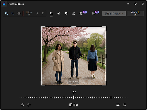 qa250723-03.png