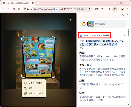 「Googleレンズ」検索の「AIによる概要」は便利だけど