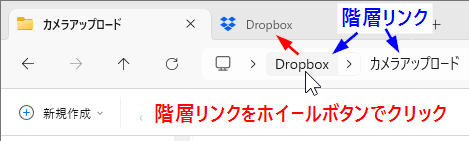 wd261001-03.png